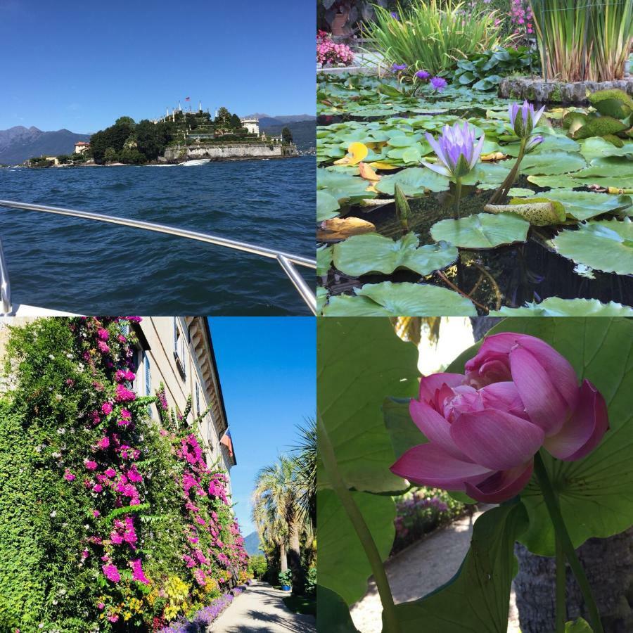 Lakeside Lago Maggiore Monvalle Exterior foto